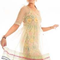 ILA Pistachio Green Benarasi Dress