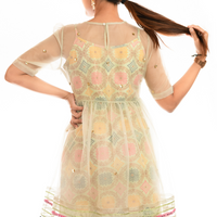 ILA Pistachio Green Benarasi Dress