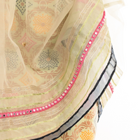 ILA Pistachio Green Benarasi Dress