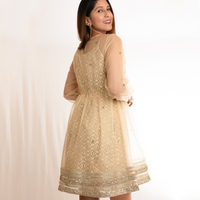 AARUNYA White Gold Benarasi Dress