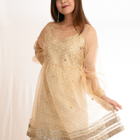 AARUNYA White Gold Benarasi Dress