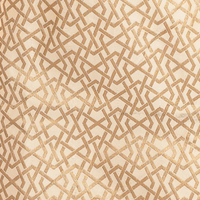 AARUNYA White Gold Benarasi Spaghetti Dress