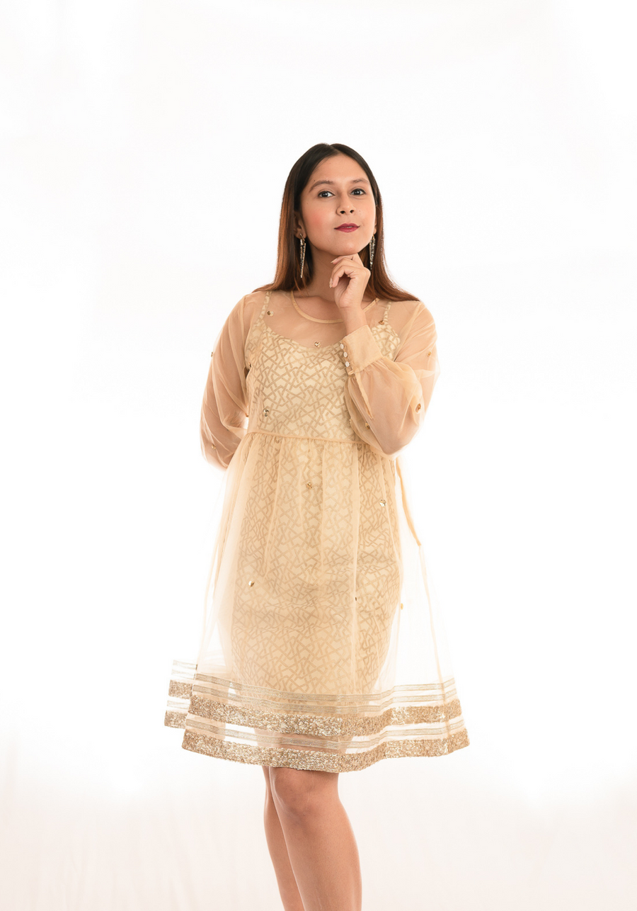 AARUNYA White Gold Benarasi Dress